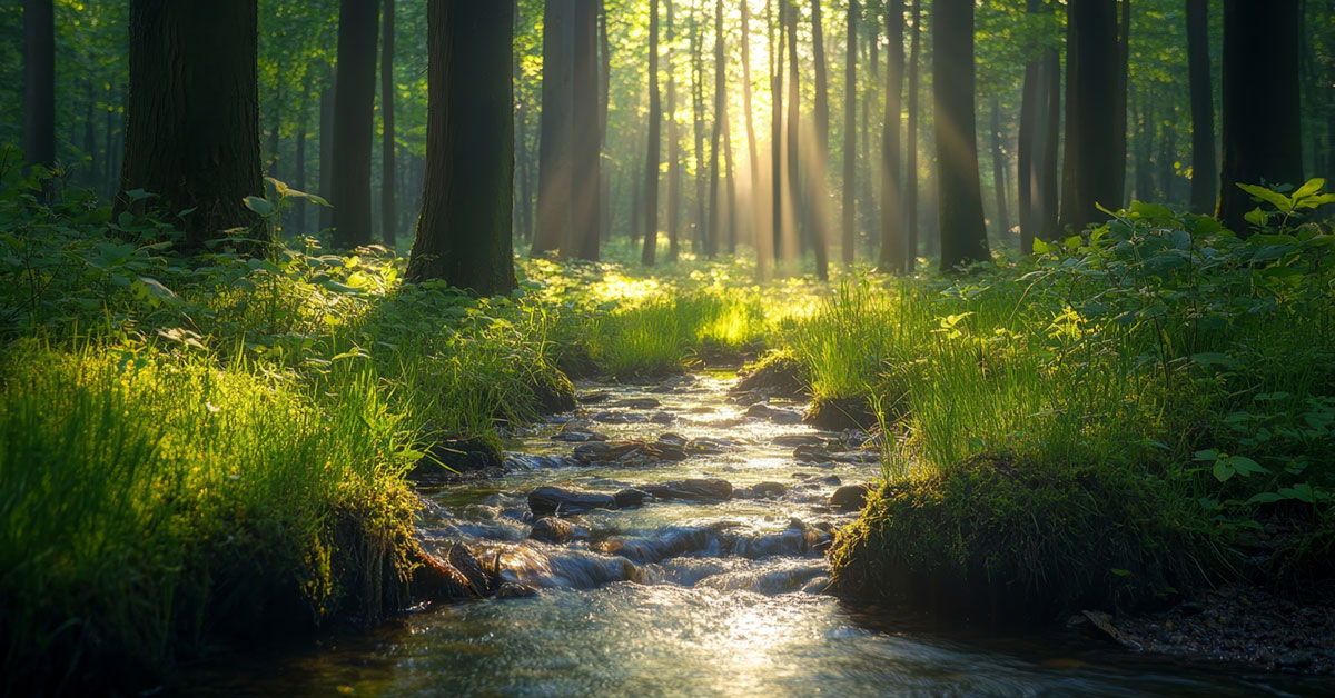 cmotf 2025 26 chicago harp 1200x628